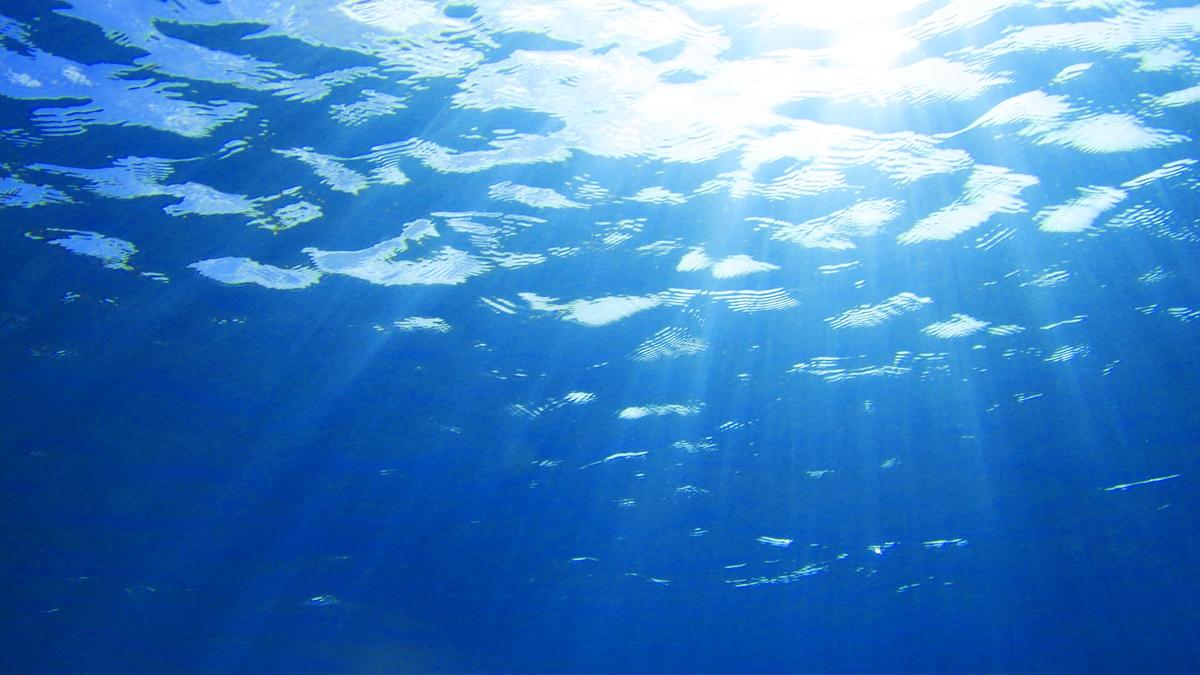 Below the surface